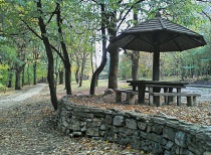 Miljakovac Forest picnic area